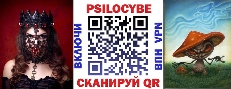 купить   кракен как войти  Псилоцибиновые грибы ЛСД  Михайловск 