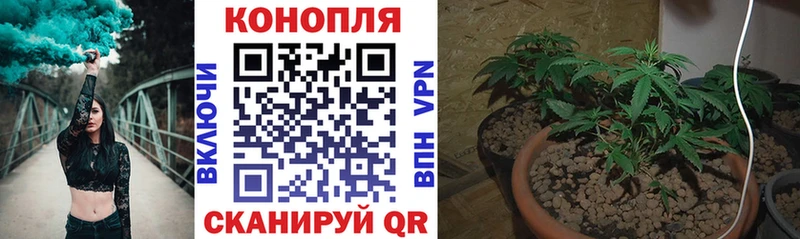 МАРИХУАНА MAZAR  купить наркотики сайты  Михайловск 